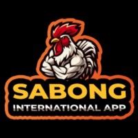 sabong international app|Iba pa.